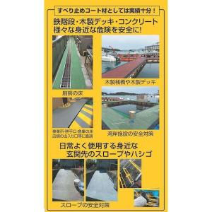 丸長商事 4580138400522 パワーテ...の詳細画像1