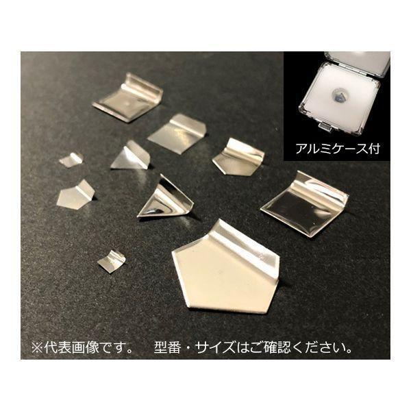 アズワン 3-1587-12 分銅 F−1級100mg【1個】 3158712 4571110725...
