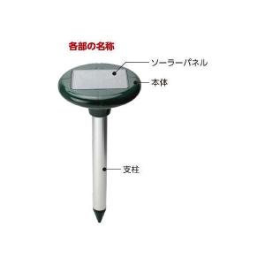 イチネンアクセス 旧イチネンMTM KENOH...の詳細画像2