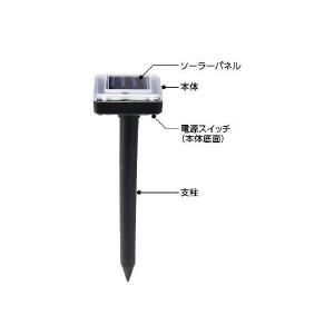 イチネンアクセス 旧イチネンMTM KENOH...の詳細画像2