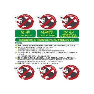 イチネンアクセス 旧イチネンMTM KENOH...の詳細画像3