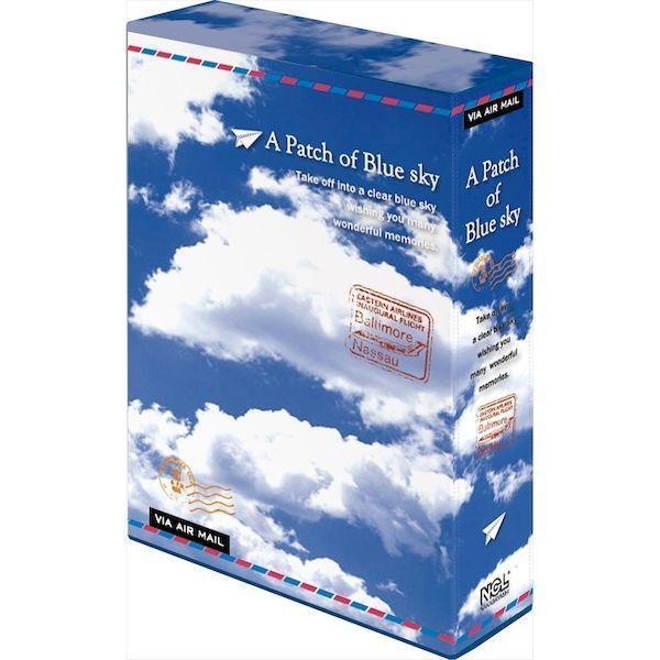 ナカバヤシ 3PL-180-3 3冊ポケットアルバム180ブル−スカイ 3PL1803
