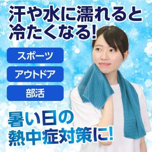 アーテック ArTec 051427 ひんやり...の詳細画像2