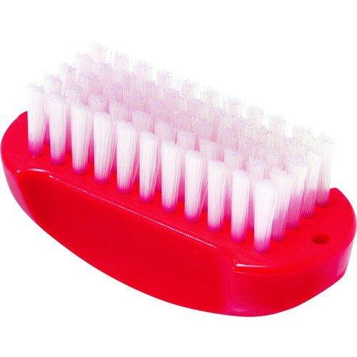 あすつく対応 「直送」 サラヤ 21506 つめブラシ赤色