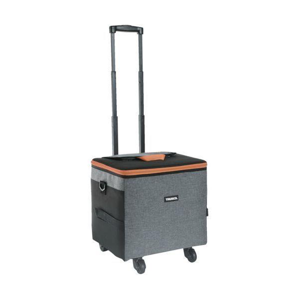 ＴＲＵＳＣＯ COOLCARRY 保冷キャリー