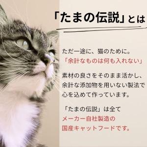 在庫 STIサンヨー 495368520179...の詳細画像1