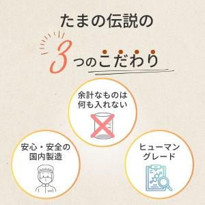 在庫 STIサンヨー 495368520179...の詳細画像2