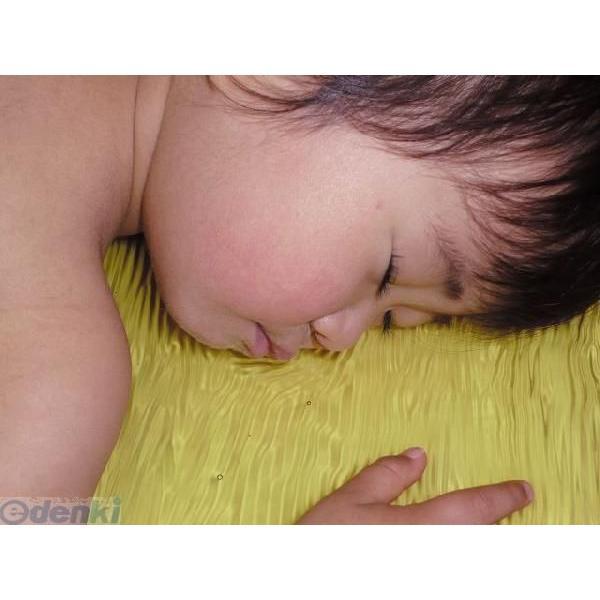 4560184160120 ベッド用アクションパッド  スタンダード