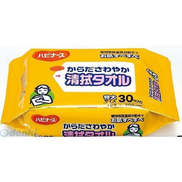 4902508106597 からださわやか清拭タオル30枚入30枚入