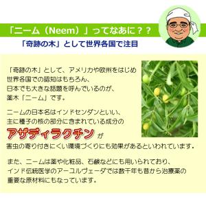 レモン香のニームオイル『NewニームアクトLG...の詳細画像3