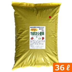 岡ひじき（おかひじき）（種:ウタネ） : プロ農業 家庭菜園のお