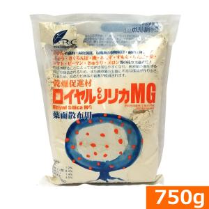 葉面散布用 乾燥促進剤 ロイヤルシリカMG（750g） [花カス除去 落弁促進 灰色カビ病対策 樹勢回復 みかん ぶどう さくらんぼ 桃 りんご 梨 トマト ピーマン]