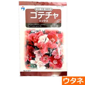 ゴテチャ(ミックス)(種:ウタネ) 爆買の商品画像