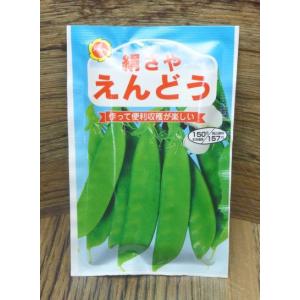 絹さやえんどう(種:アタリヤ)