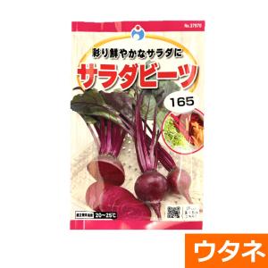 サラダビーツ(ビート)(だいこん)(種:ウタネ) 爆買の商品画像