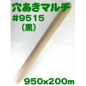 送料無料) 穴あきホールマルチ #9230（黒） (農業用マルチ) 爆買