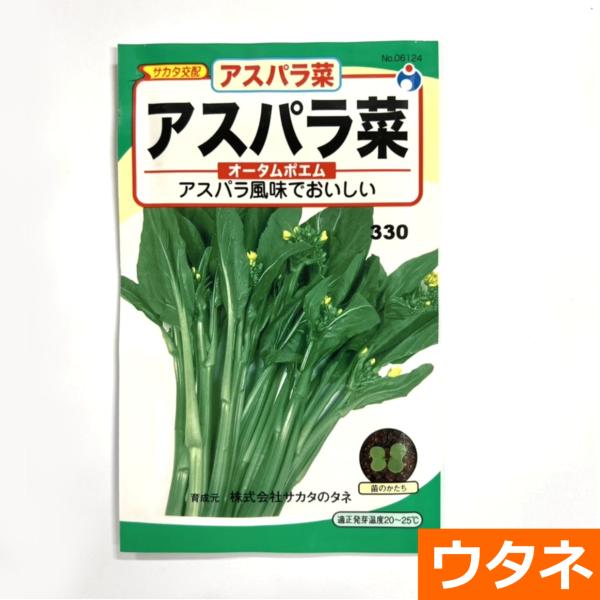 オータムポエム（アスパラ菜）（種:ウタネ）