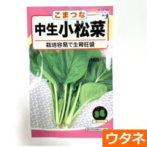 中生小松菜（種:ウタネ） 爆買