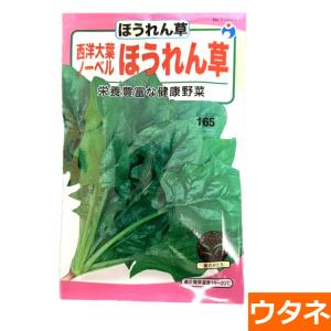 ノーベル西洋大葉法蓮草　（ほうれん草） （種:ウタネ） 爆買