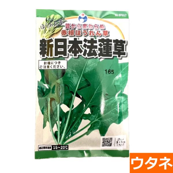 新日本法蓮草　（ほうれん草） （種:ウタネ）