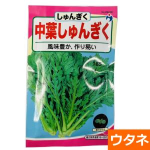 中葉しゅんぎく　（しゅんぎく）（種:ウタネ） 爆買