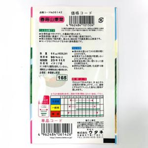 春蒔山東菜(種:ウタネ) 爆買の詳細画像1