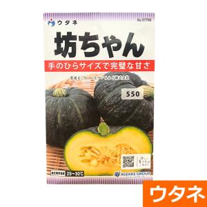 イタヤゼオライト(葉面散布用) パワーシリカ 1kg 爆買 : プロ農業 家庭