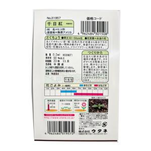 千日紅(特選混合)(種:ウタネ) 爆買の詳細画像1