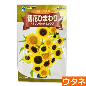 ひまわり（ぬいぐるみ）（種:ウタネ） 爆買 : プロ農業 家庭菜園のお店