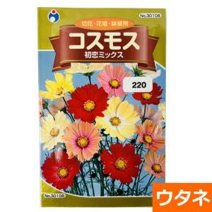 花種 花たね コスモス 八重咲コスモス混合 1袋（500mg） : 花と緑 国