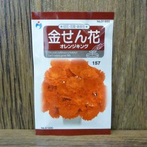 金せん花（オレンジキング）（種:ウタネ）｜ideshokai