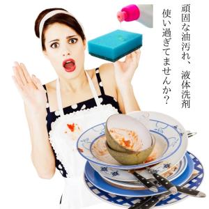 食器用洗剤 キッチンクレンリーミニ350g 経...の詳細画像1