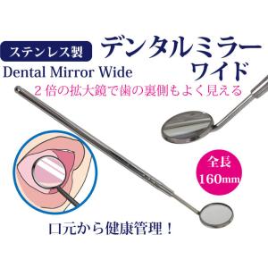 デンタルミラー　歯　鏡　でんたる　みらー　40500