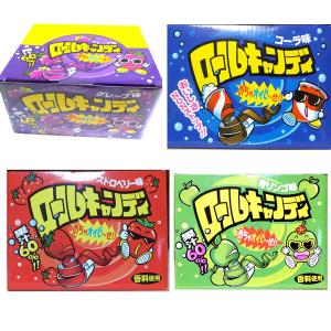 ビオーム プロビオティック17.36g(28袋) ビフィズス菌・乳酸菌含有食品