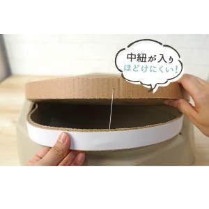 猫用トリミング用品 iCat つめとぎ デカゴ...の詳細画像4