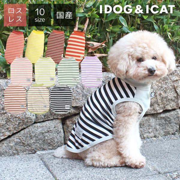 犬 服 iDog リブ切替ボーダータンク アイドッグ メール便OK