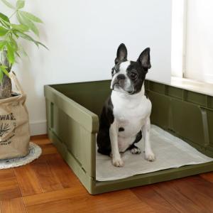 犬用トイレ トイレ用品 ペットシーツ おむつ 犬用品 ペット用品 生き物 通販 Yahoo ショッピング