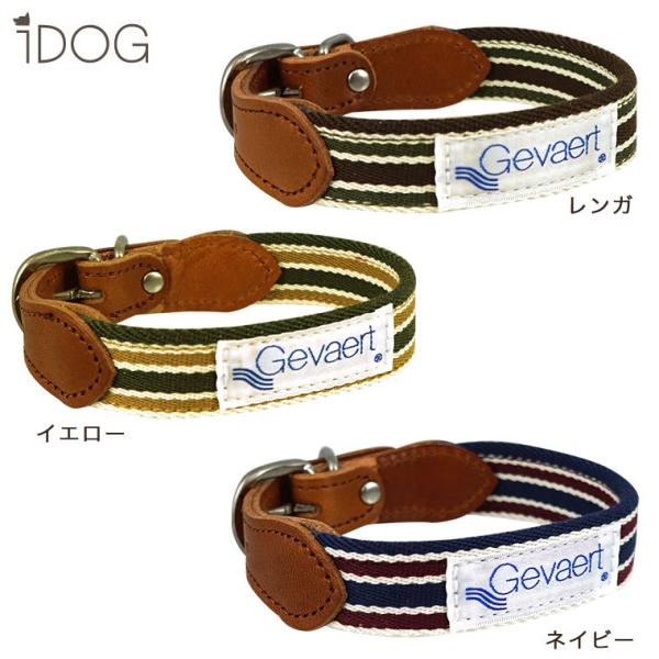 犬首輪 Gevaert×iDog 犬用首輪 ボーダー アイドッグ メール便OK