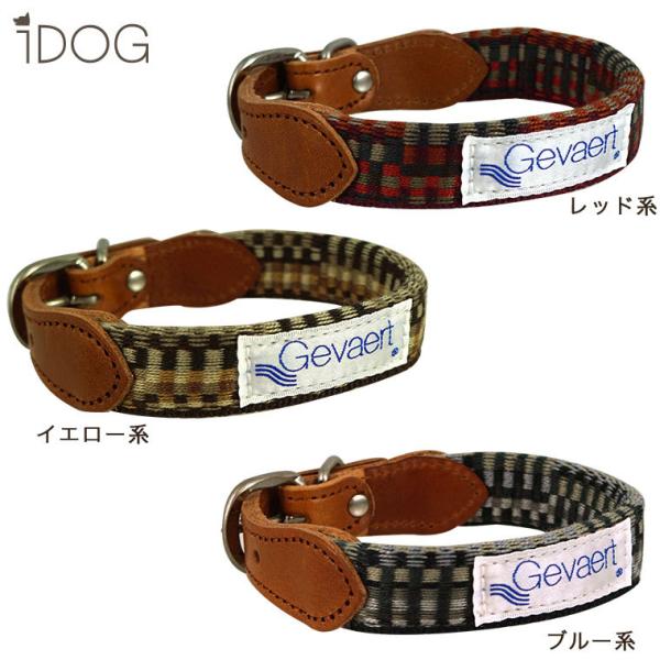 犬首輪 Gevaert×iDog 犬用首輪 モザイク アイドッグ メール便OK