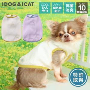 セレブなオーダーメイド犬服ミントブルードレス : オーダーメイド