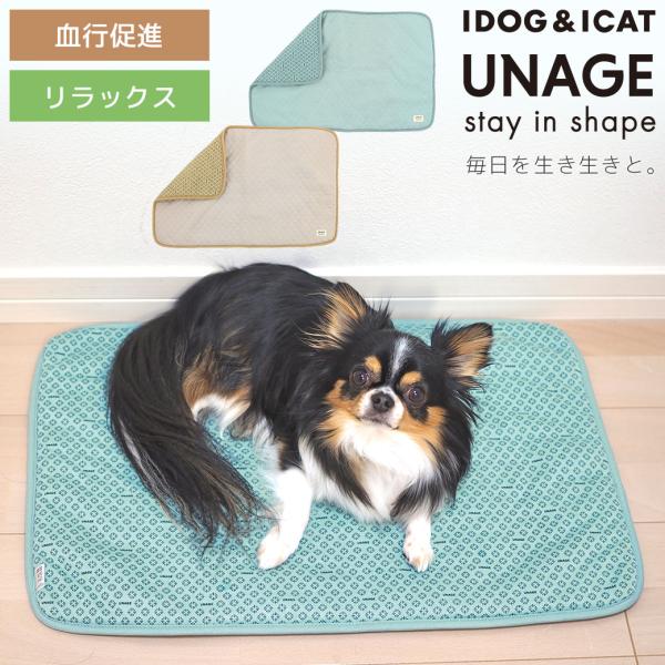 犬用マット IDOG&amp;ICAT UNAGE ウェルネスキルトマット アンエイジ アイドッグ