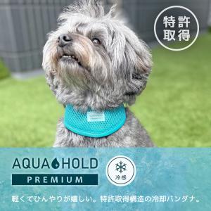 プレクリアランスセール 10%OFF iDog...の詳細画像3
