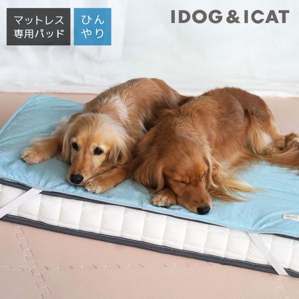 犬 マット IDOG&amp;ICAT マットレス専用ひんやり吸熱敷きパッド PCM アイドッグ