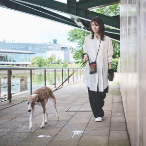犬 バッグ iDog WALKAHOLIC お...の詳細画像3