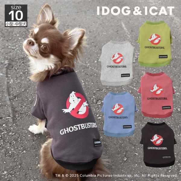 クリアランスセール 20%OFF iDog GHOSTBUSTERS ゴーストバスターズ裏起毛トレー...