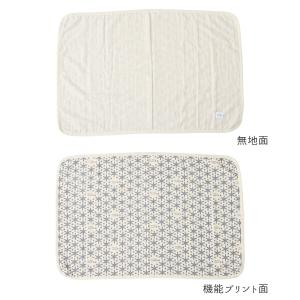 犬用マット IDOG&ICAT UNA...の詳細画像1