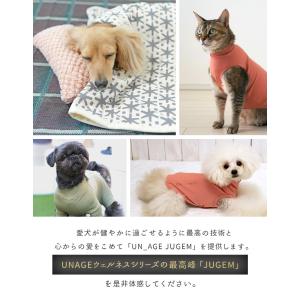 犬用マット IDOG&ICAT UNA...の詳細画像3