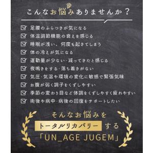 犬用マット IDOG&ICAT UNA...の詳細画像4