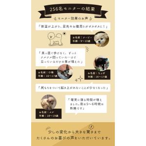 犬用マット IDOG&ICAT UNA...の詳細画像5