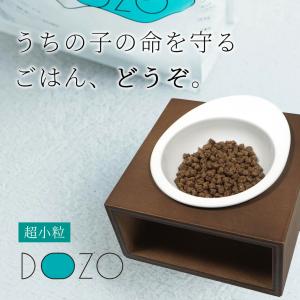 ドッグフード DOZO 超小粒 100g アイ...の詳細画像1